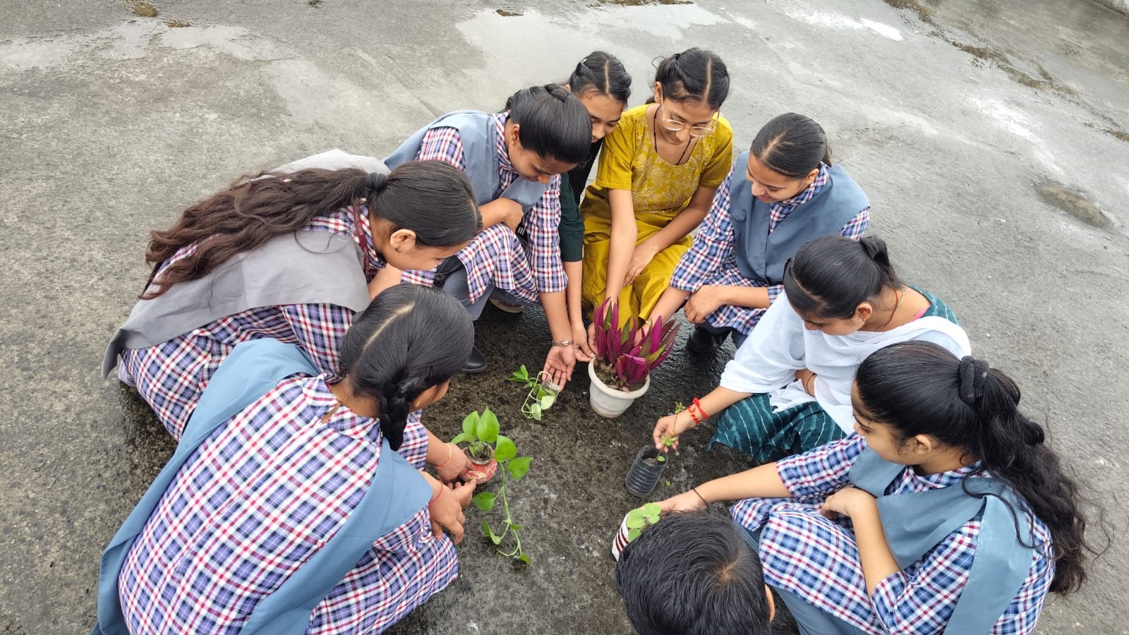 School Gallery Image 2